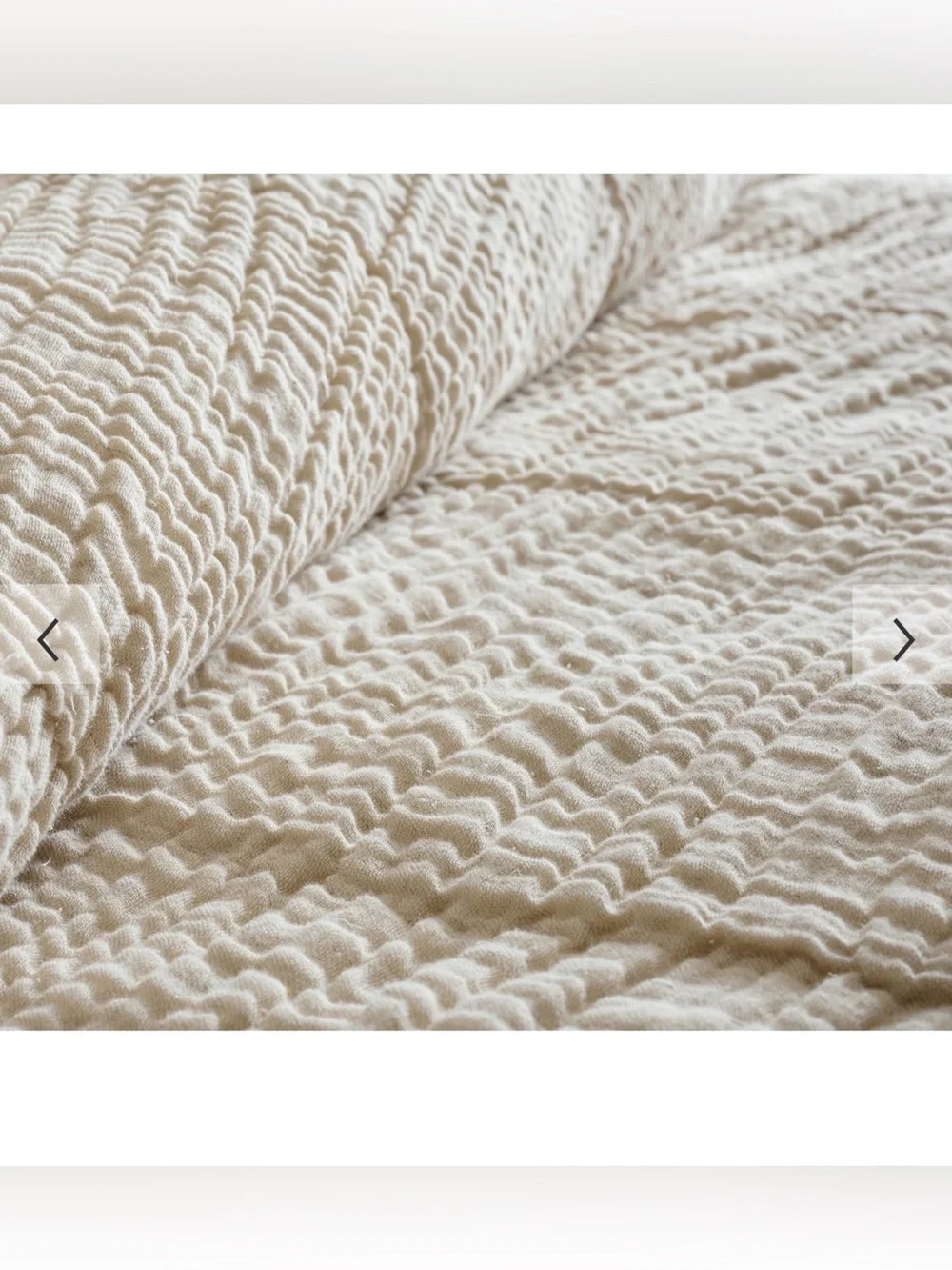 Pottery Barn Flax Cloud King duvet and 2 king shams.